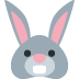 :rabbit: